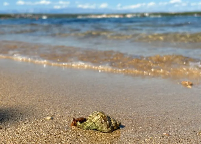 Mobilhome * Ткон