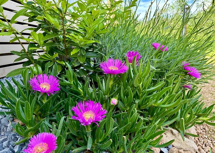 Дом отдыха Mobilhome *